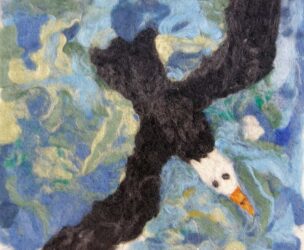 Dry felting by Jarrah Tokovic, Class 4, Castlemaine Steiner School and Kindergarten Student artwork of a bird in flight in felt