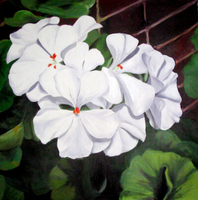 Acrylic on canvas by Brittany Wilkins, Year 12, Fintona Girls’ School Student artwork of geraniums