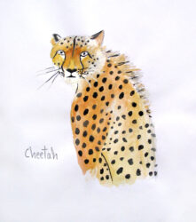 Watercolour and pencil on paper by Eugene Howard, Year 7, Melbourne Rudolf Steiner School Student artwork of a cheetah