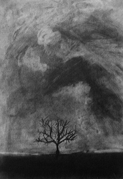 Graphite on paper by Chris Pearson, Year 6, Penleigh and Essendon Grammar Student artwork of a stormy landscape with tree