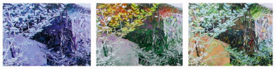 Photography by Kate Lewin, Rossbourne School Student abstract artwork of a garden