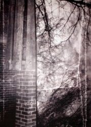 Photography by Kate Small, Year 9, Caulfield Grammar School Student artwork photography