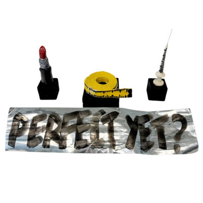 Mixed media sculpture by Quinn Arnoldi-Laslett, Year 9, Lowther Hall Anglican Grammar School Student sculptural artwork