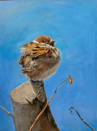 Oil on Canvas by Demi Jiang, Year 10, Camberwell Girls Grammar School Student artwork of a puffed up sparrow standing on a tree trunk