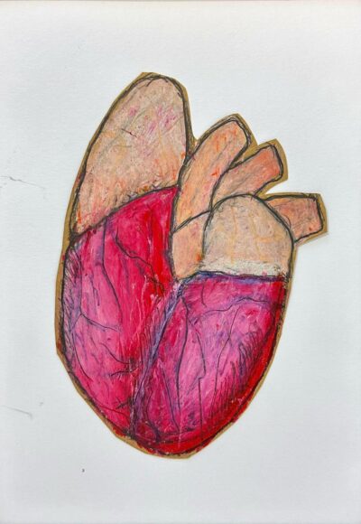 Oil pastel and pencil on paper by Asher Wang, Year 7, Camberwell Grammar School Student artwork of an anatomical heart