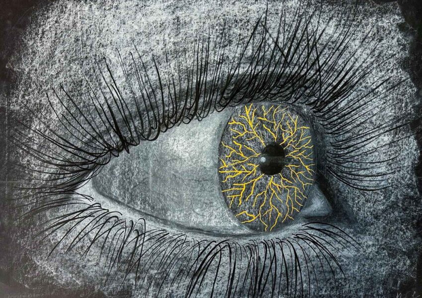 Pastel and ink on black paper by Nurfarzana Ezrie, Year 10, Lowther Hall Anglican Grammar School