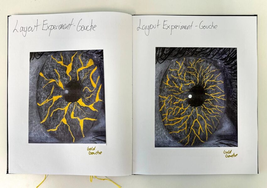 Pastel and ink on black paper by Nurfarzana Ezrie, Year 10, Lowther Hall Anglican Grammar School