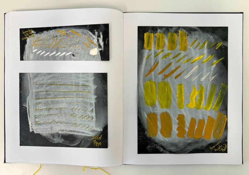 Pastel and ink on black paper by Nurfarzana Ezrie, Year 10, Lowther Hall Anglican Grammar School