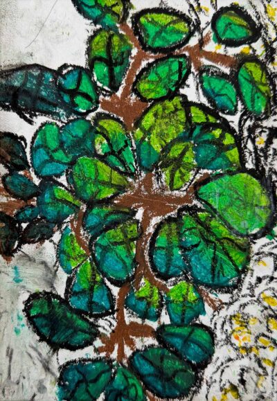 Oil pastel by Marcus Atog, Year 7, Hume Anglican Grammar Student artwork of a climbing plant