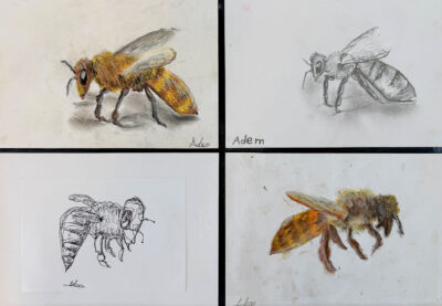 Student artwork of a bee