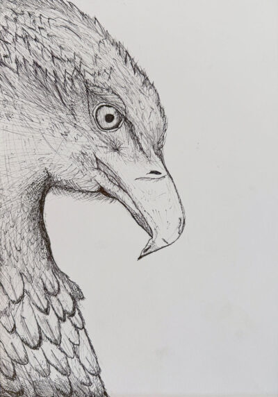 Student artwork of a bird in profile