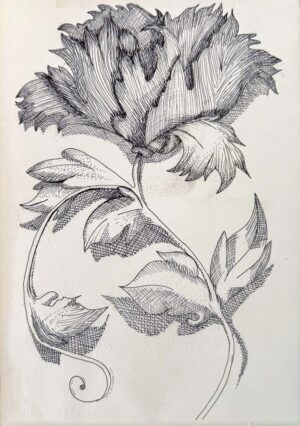 Drawing by Zoe Fowler, Year 9, Alphington Grammar Student artwork of a cross hatch flower