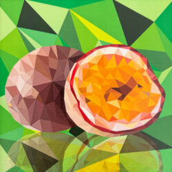 Digital illustration by Ari Patel, Year 10, Alphington Grammar Student artwork digital illustration of a passion fruit