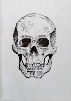 Drawing by Lottie Haoust, Year 9, Alphington Grammar Student artwork of a skull
